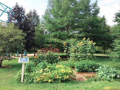 Sustainable Agriculture Project Demonstration Garden